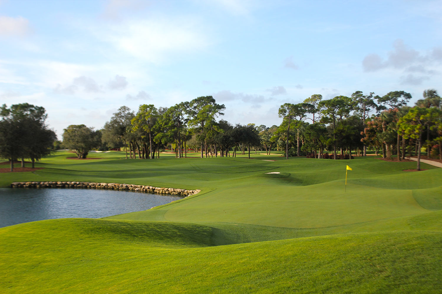 Adios Golf Club photo 1
